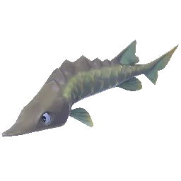Highland Sturgeon