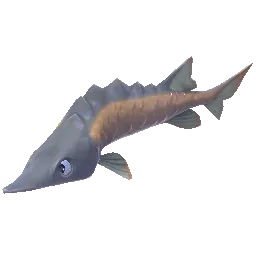 Ragdoll Sturgeon