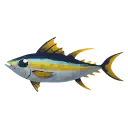 Yellowfin Tuna