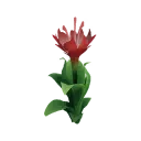 Heartdrop Lily