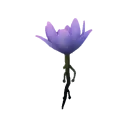 Crystal Lake Lotus