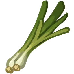 Wild Green Onion