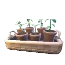 Garden Variety Sprout Planter
