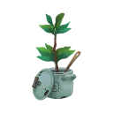 Makeshift Ficus Planter