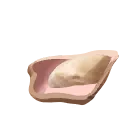 Oyster Meat