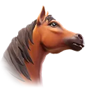 Akwinduu Thoroughbred