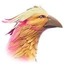 Riffroc