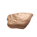 Unopened Oyster