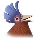 Peki