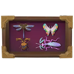Star Kilima Bug Collector's Display Box
