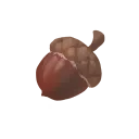 Acorn