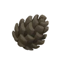 Pinecone