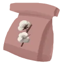 Cotton Seed