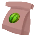 Melon Seed