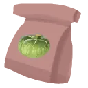 Melon Seed