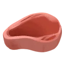 Sernuk Meat