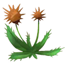 Thistle
