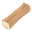 Sapwood