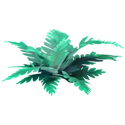Fern