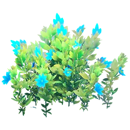 Flowering Blue Bush