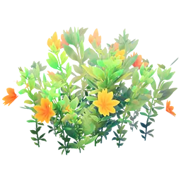 Flowering Orange Bush