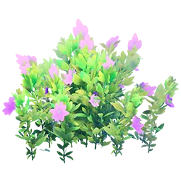 Flowering Purple Bush