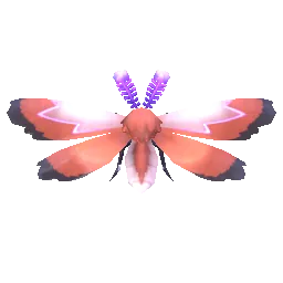 Phoenix Moth