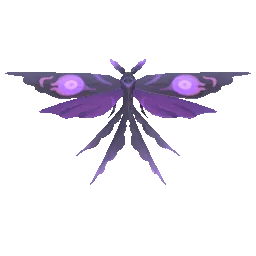 Enfield Moth
