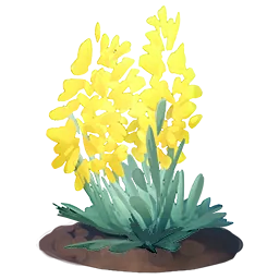 Forsythia Flower