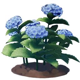 Blue Hydrangea Flower
