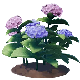 Mixed Hydrangea Flower
