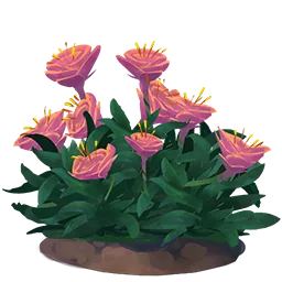 Rose Flower