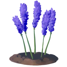Chapaatail Flower