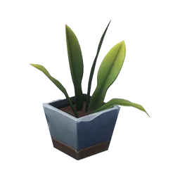 Spa Day Snake Plant