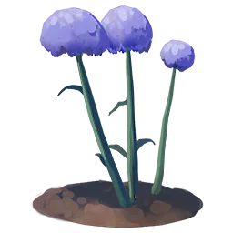 Cottonball Flower