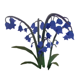 Bluebell Flower