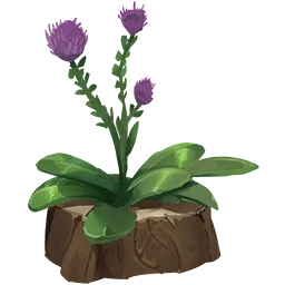 Camping Medium Planter