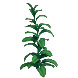 Bahari Nettle Flower