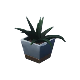 Spa Day Potted Aloe