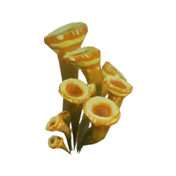 Baharricenia Flower