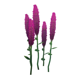 Veronica Flower