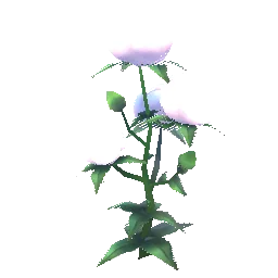 Planterlife Cotton