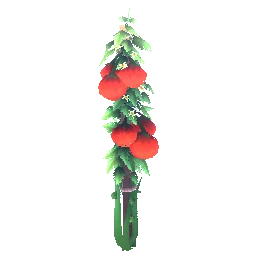 Planterlife Tomato