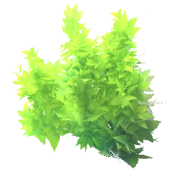 Planterlife Blueberry