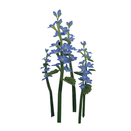Forget-Me-Not Flower