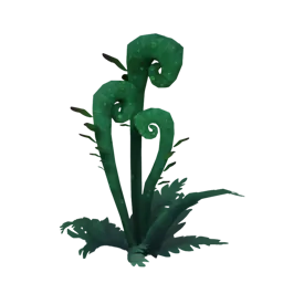 Fiddlefrond Flower