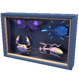 Highlands Shadowbox