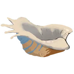 Flotsam Scallop