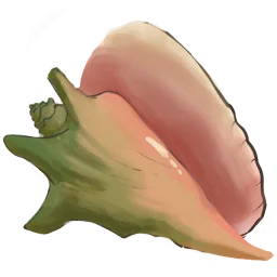 Flotsam Conch