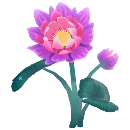 Elderwood Lotus